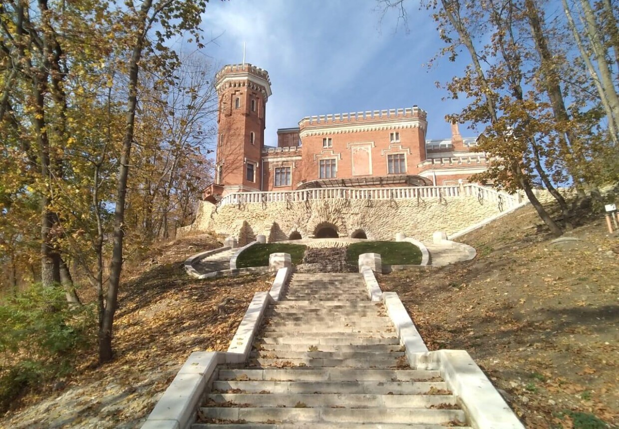Picture