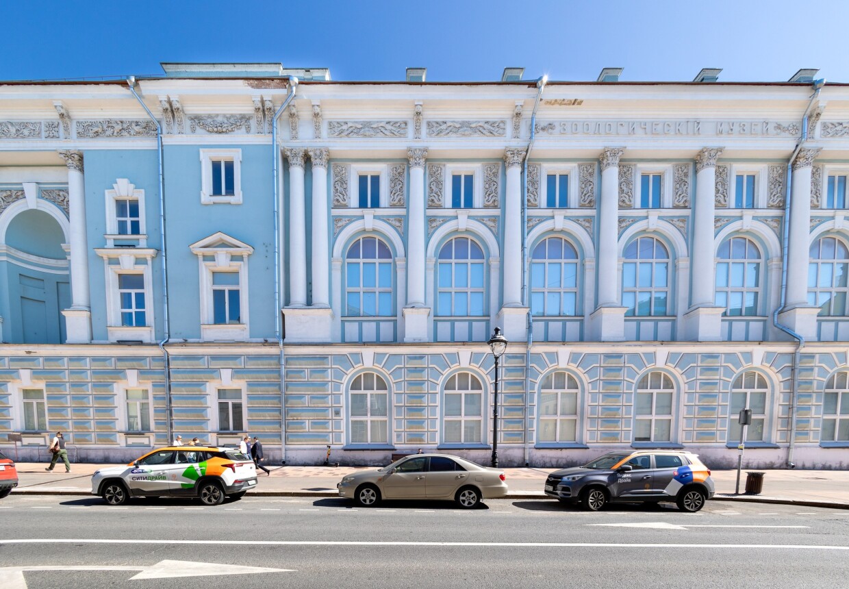 Зоологический музей