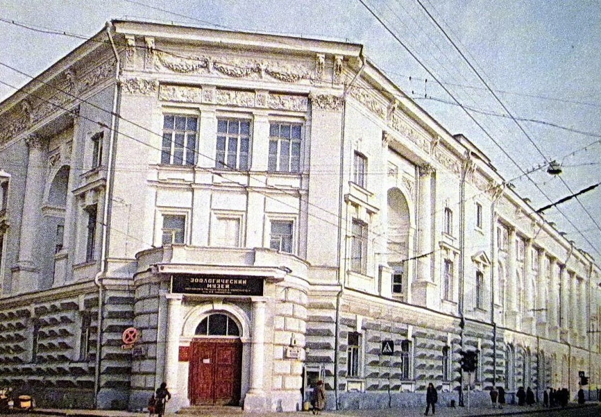 Зоологический музей