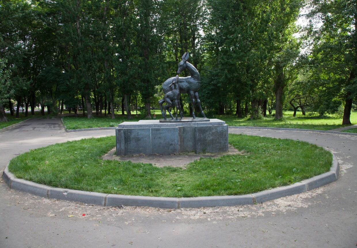 Picture