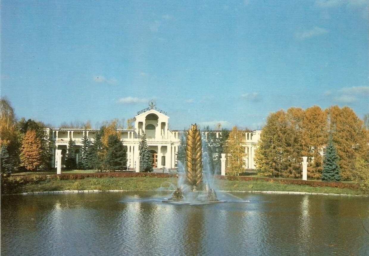 Picture