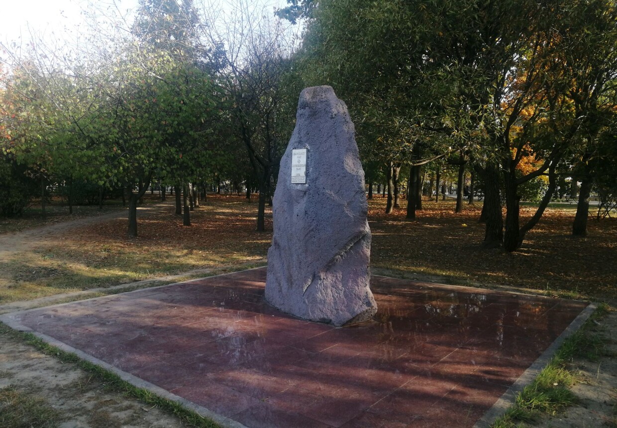 Picture