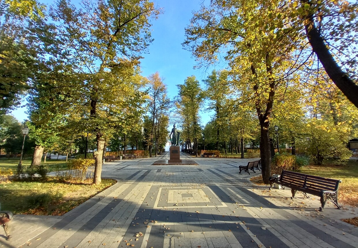 Picture