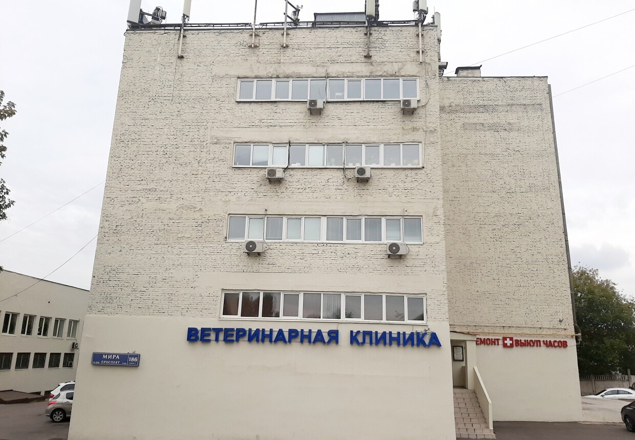 Общежитие рабочих ватной фабрики в Ростокине
