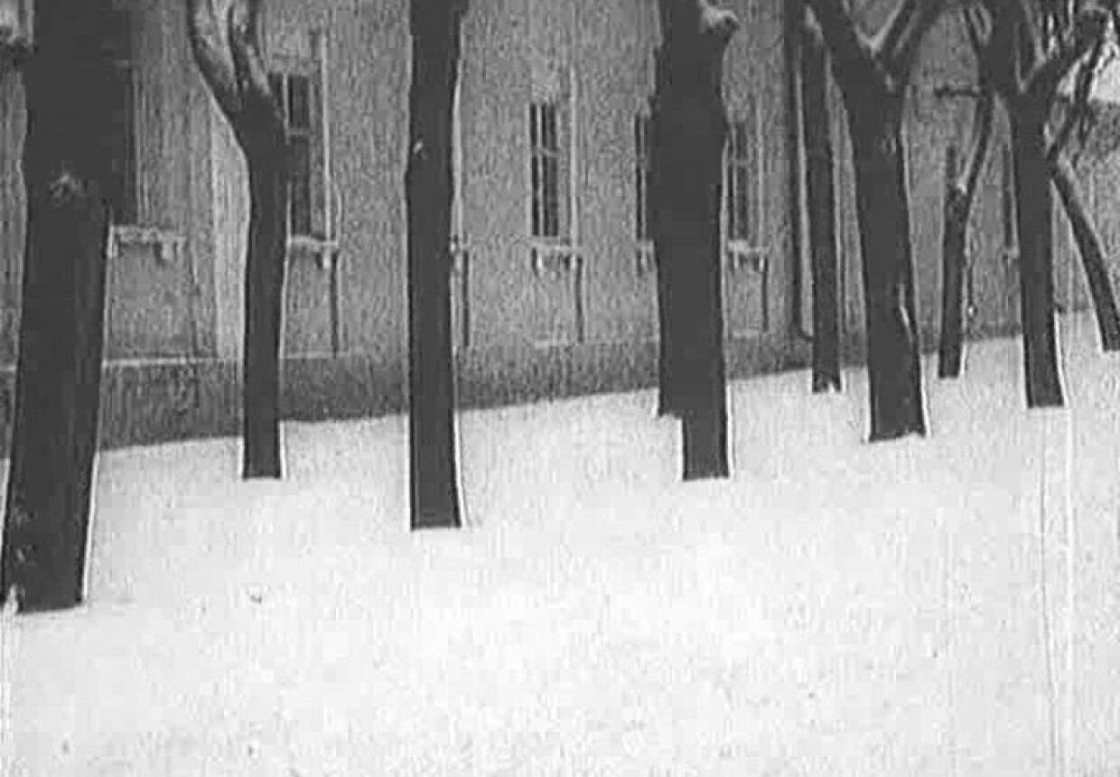 Усадьба «Нескучное», конец XVIII в.- начало XIX в.