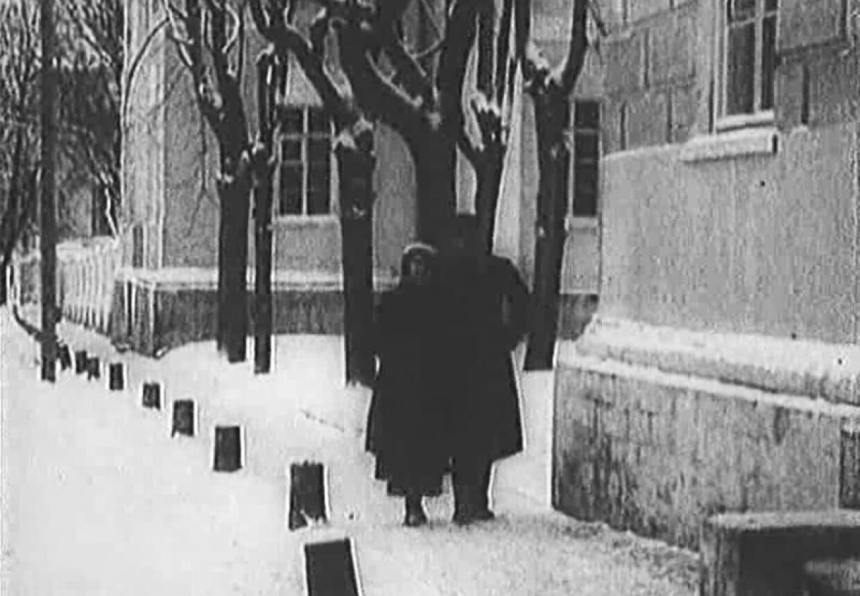Усадьба «Нескучное», конец XVIII в.- начало XIX в.