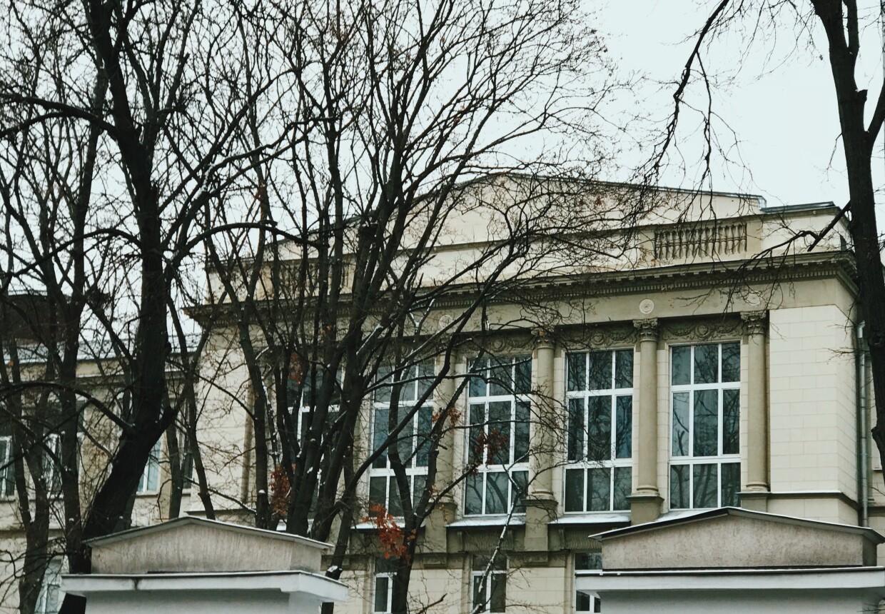 Педагогический институт им. П. Г.