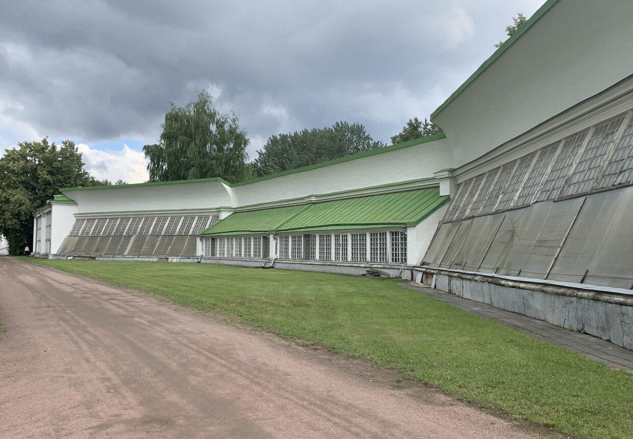Американская оранжерея (середина XVIII в.