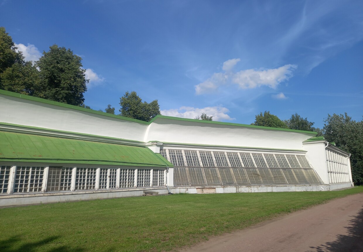 Американская оранжерея (середина XVIII в.