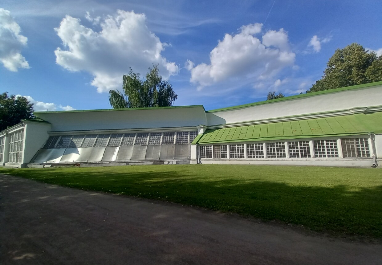 Американская оранжерея (середина XVIII в.