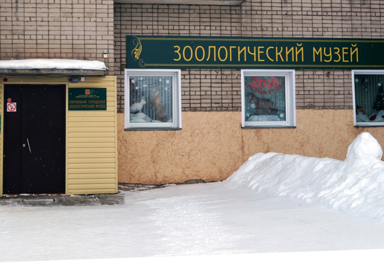 Выставочный зал Кировского городского зоологического музея на