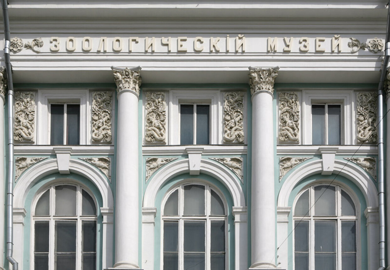 Зоологический музей МГУ им. М. В.