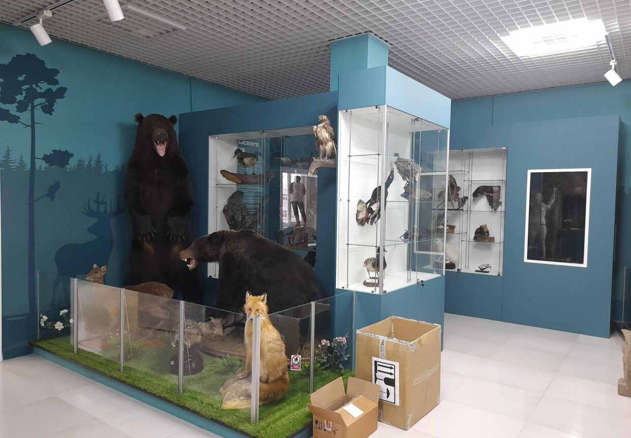 Тымовский краеведческий