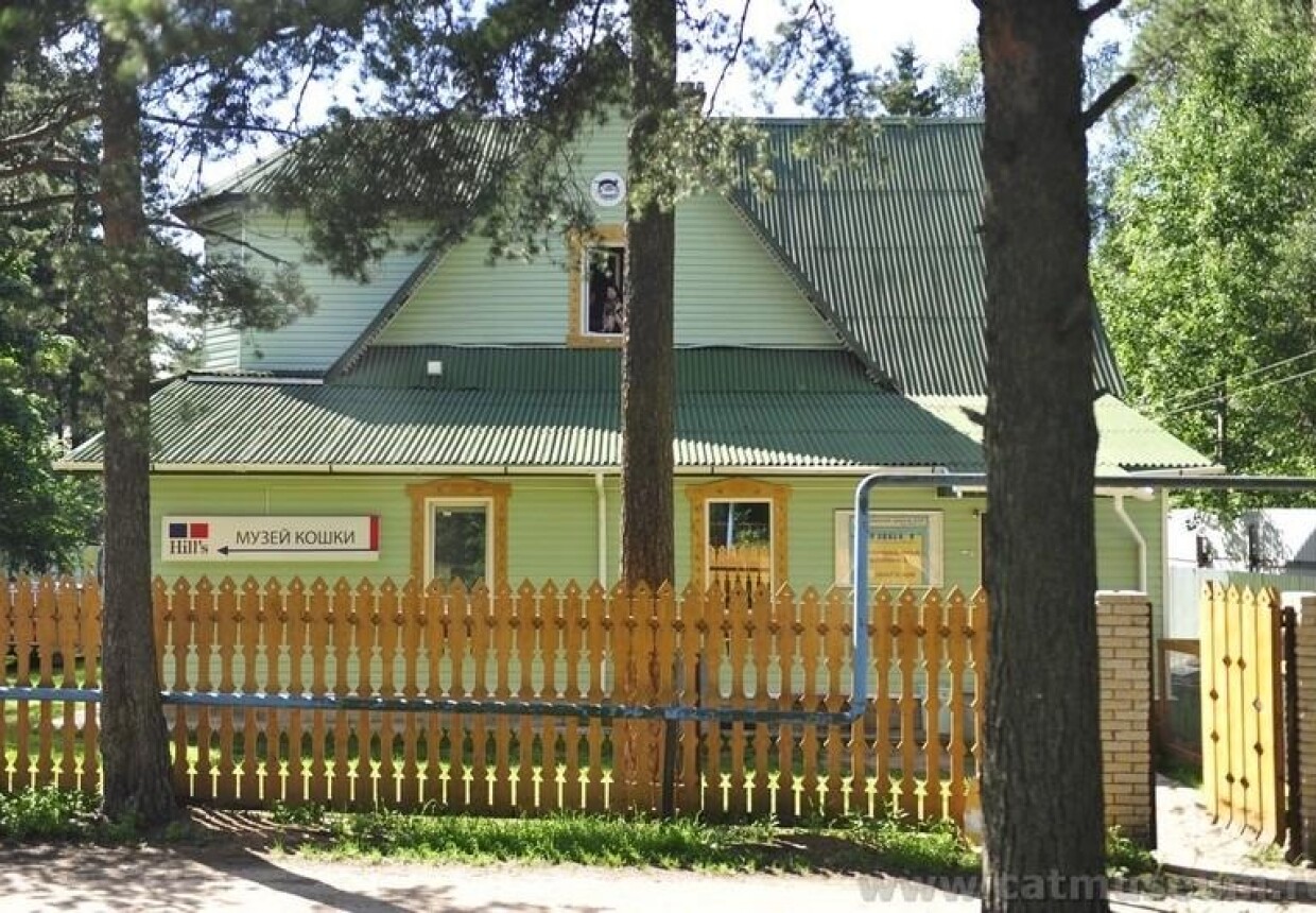 Санкт-Петербургский музей