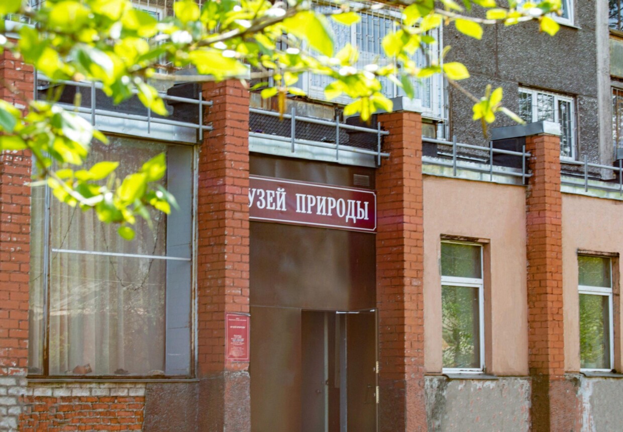 Музей природы г.