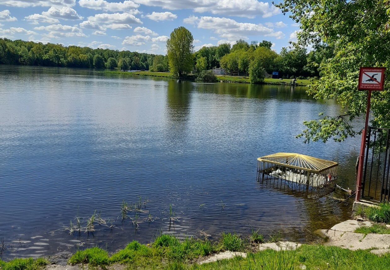 Picture